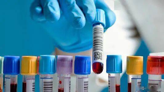 經(jīng)緯中國參投這家寵物醫(yī)療機構 腫瘤篩查服務商完成近億元b輪融資 投資速遞